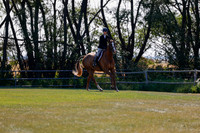 2025 - Haylee - Harvest Horse Show - Sunday, September 14th 08825