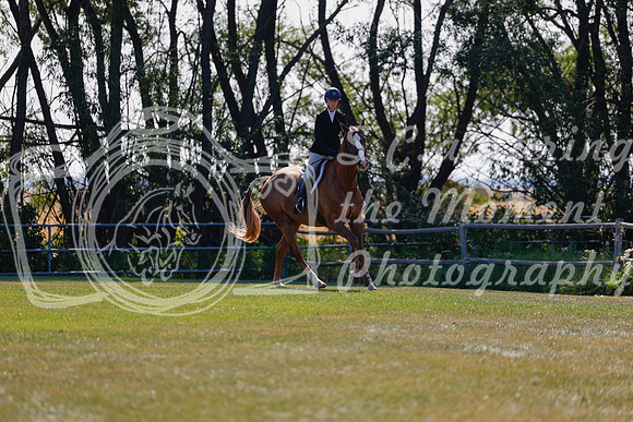 2025 - Haylee - Harvest Horse Show - Sunday, September 14th 08825