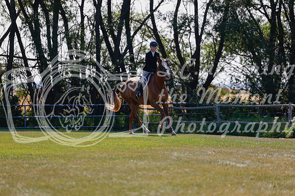 2025 - Haylee - Harvest Horse Show - Sunday, September 14th 08824