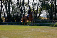 2025 - Haylee - Harvest Horse Show - Sunday, September 14th 08826