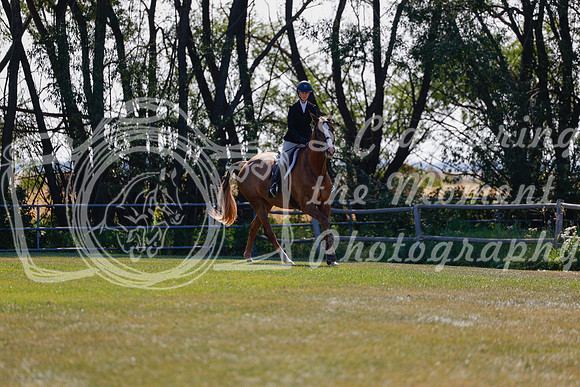 2025 - Haylee - Harvest Horse Show - Sunday, September 14th 08826