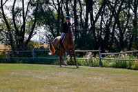 2025 - Haylee - Harvest Horse Show - Sunday, September 14th 08827