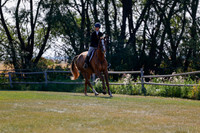 2025 - Haylee - Harvest Horse Show - Sunday, September 14th 08828