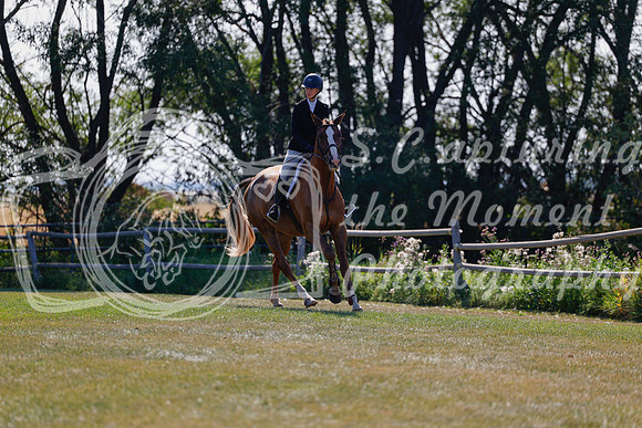 2025 - Haylee - Harvest Horse Show - Sunday, September 14th 08828