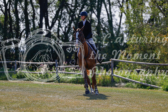 2025 - Haylee - Harvest Horse Show - Sunday, September 14th 08829
