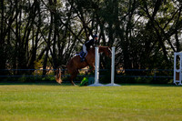 2025 - Haylee - Harvest Horse Show - Sunday, September 14th 08831