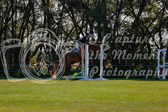 2025 - Haylee - Harvest Horse Show - Sunday, September 14th 08832