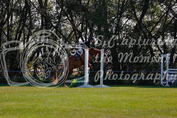 2025 - Haylee - Harvest Horse Show - Sunday, September 14th 08834