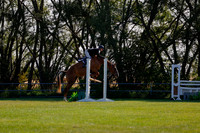 2025 - Haylee - Harvest Horse Show - Sunday, September 14th 08837