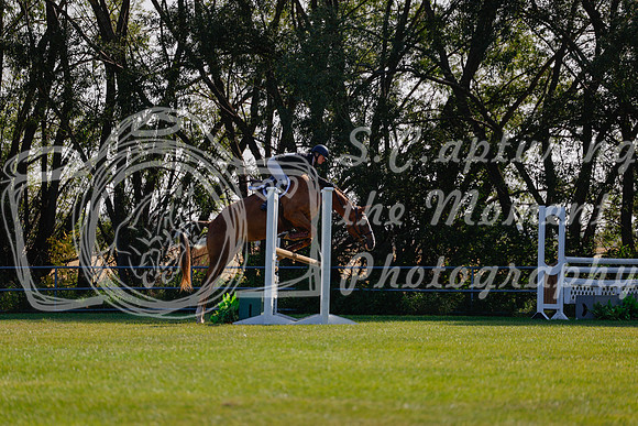 2025 - Haylee - Harvest Horse Show - Sunday, September 14th 08838