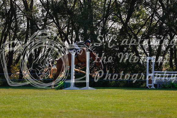 2025 - Haylee - Harvest Horse Show - Sunday, September 14th 08839