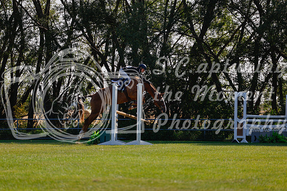 2025 - Haylee - Harvest Horse Show - Sunday, September 14th 08840