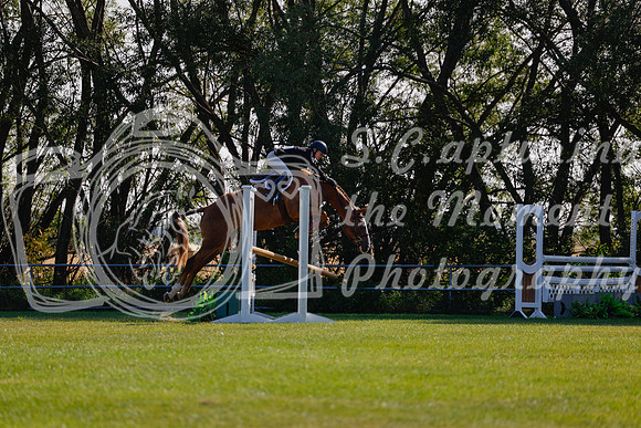 2025 - Haylee - Harvest Horse Show - Sunday, September 14th 08841