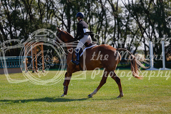 2025 - Haylee - Harvest Horse Show - Sunday, September 14th 08845