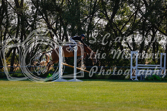 2025 - Haylee - Harvest Horse Show - Sunday, September 14th 08843
