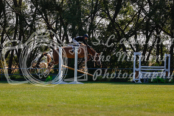 2025 - Haylee - Harvest Horse Show - Sunday, September 14th 08844