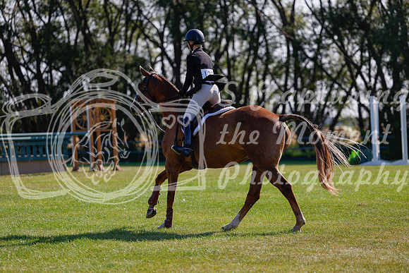 2025 - Haylee - Harvest Horse Show - Sunday, September 14th 08846