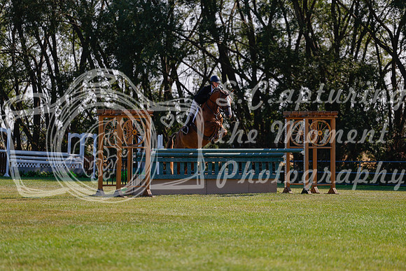 2025 - Haylee - Harvest Horse Show - Sunday, September 14th 08847