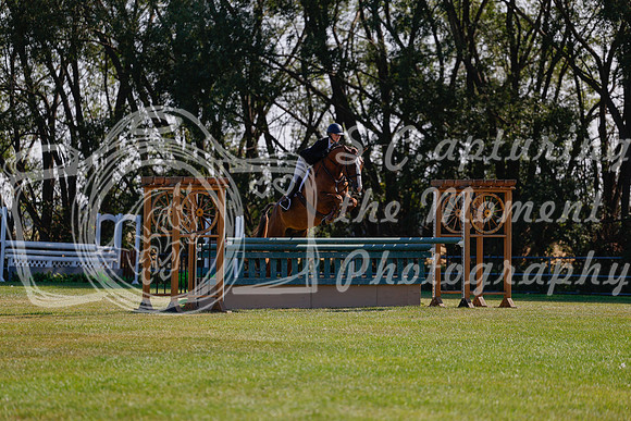 2025 - Haylee - Harvest Horse Show - Sunday, September 14th 08849