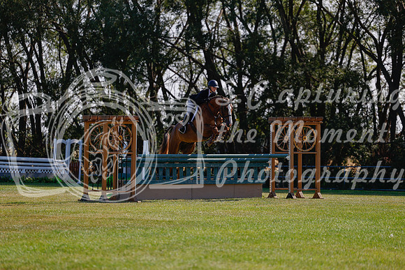 2025 - Haylee - Harvest Horse Show - Sunday, September 14th 08851