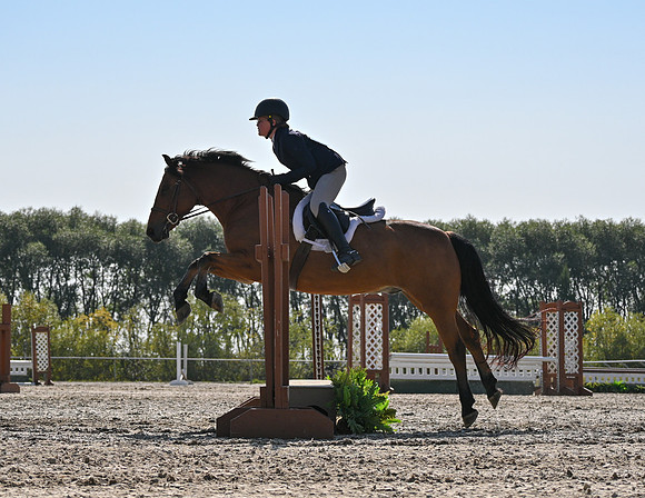 2025 - Petra - Harvest Horse Show - Sunday, September 14th 11527