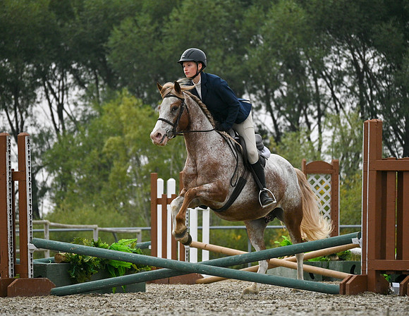 2025 - Petra - Harvest Horse Show - Sunday, September 14th 09713
