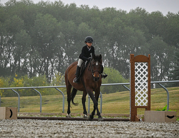 2025 - Petra - Harvest Horse Show - Sunday, September 14th 09368