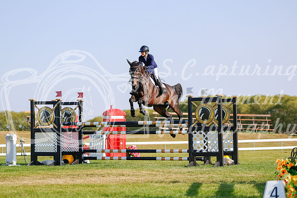 2025 - Haylee - Harvest Horse Show - Sunday, September 14th 13090