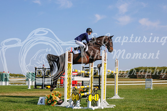 2025 - Haylee - Harvest Horse Show - Sunday, September 14th 13108