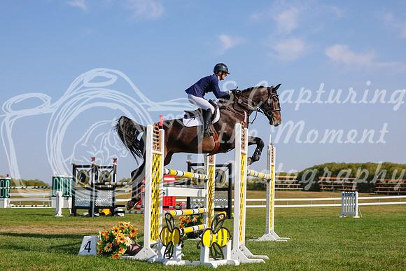 2025 - Haylee - Harvest Horse Show - Sunday, September 14th 13110