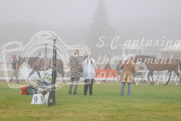 2025 - Haylee - Harvest Horse Show - Sunday, September 14th 00001