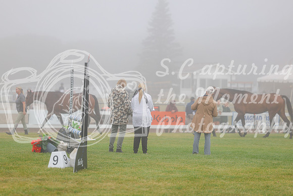 2025 - Haylee - Harvest Horse Show - Sunday, September 14th 00002