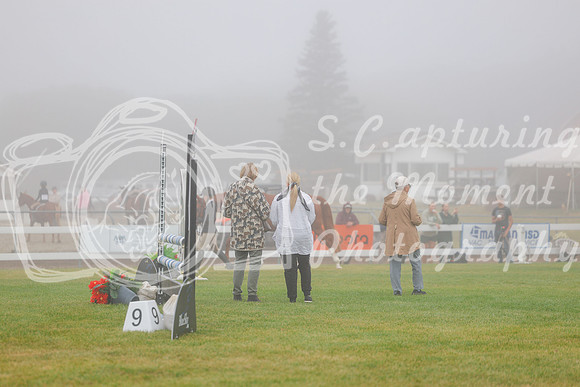 2025 - Haylee - Harvest Horse Show - Sunday, September 14th 00003