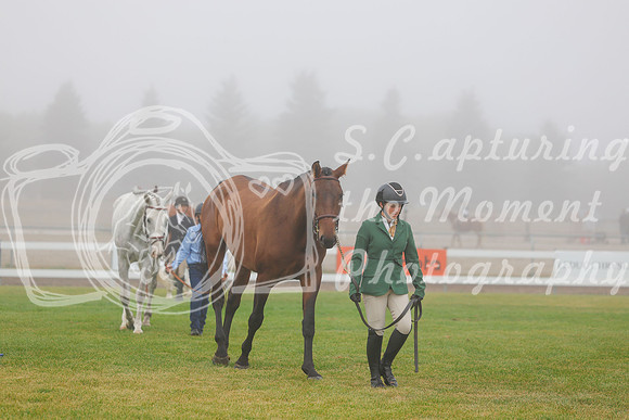 2025 - Haylee - Harvest Horse Show - Sunday, September 14th 00004
