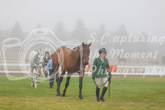 2025 - Haylee - Harvest Horse Show - Sunday, September 14th 00005