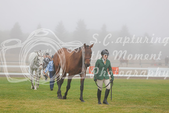 2025 - Haylee - Harvest Horse Show - Sunday, September 14th 00006