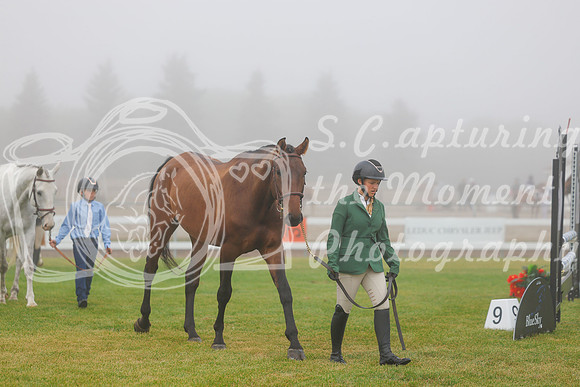 2025 - Haylee - Harvest Horse Show - Sunday, September 14th 00007