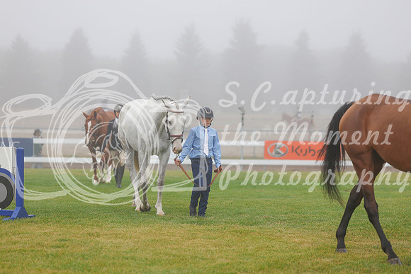 2025 - Haylee - Harvest Horse Show - Sunday, September 14th 00009