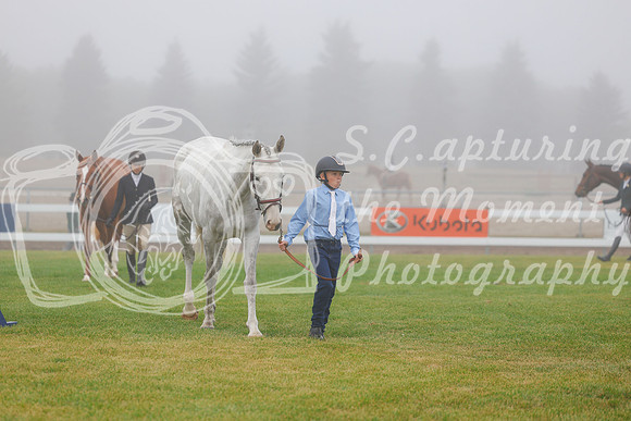2025 - Haylee - Harvest Horse Show - Sunday, September 14th 00011