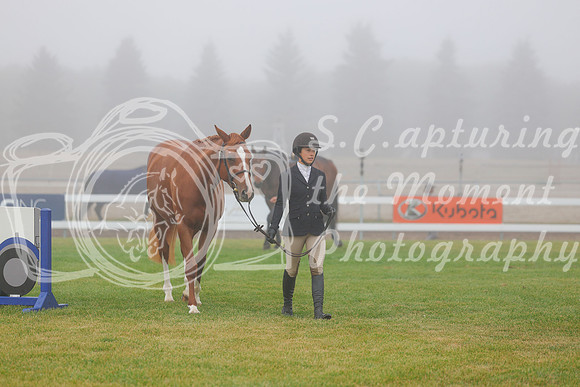 2025 - Haylee - Harvest Horse Show - Sunday, September 14th 00013