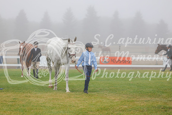 2025 - Haylee - Harvest Horse Show - Sunday, September 14th 00012