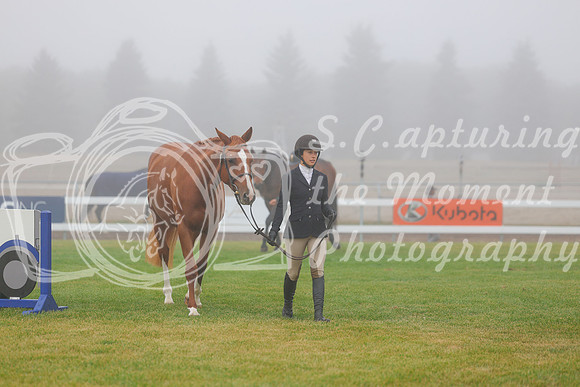 2025 - Haylee - Harvest Horse Show - Sunday, September 14th 00014