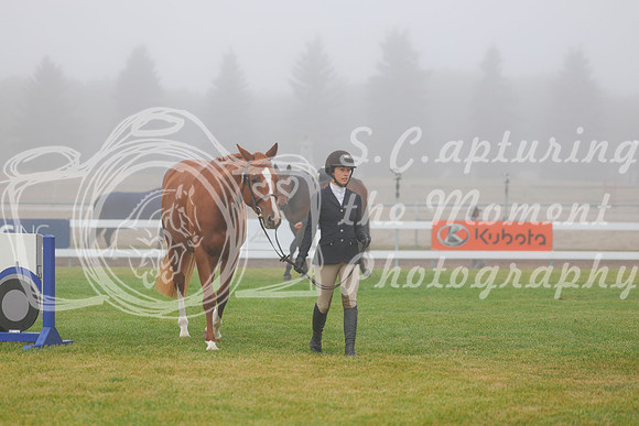 2025 - Haylee - Harvest Horse Show - Sunday, September 14th 00015