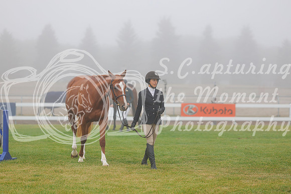 2025 - Haylee - Harvest Horse Show - Sunday, September 14th 00016