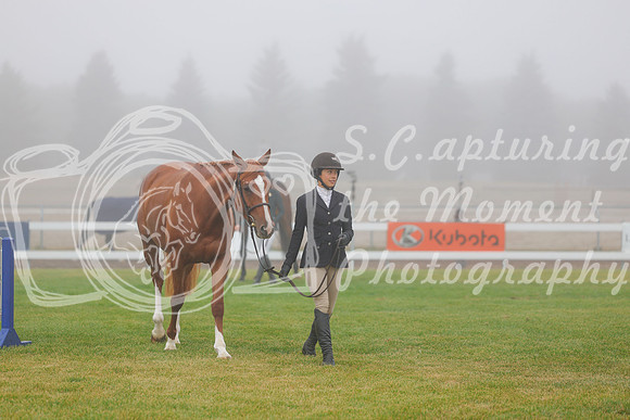 2025 - Haylee - Harvest Horse Show - Sunday, September 14th 00017