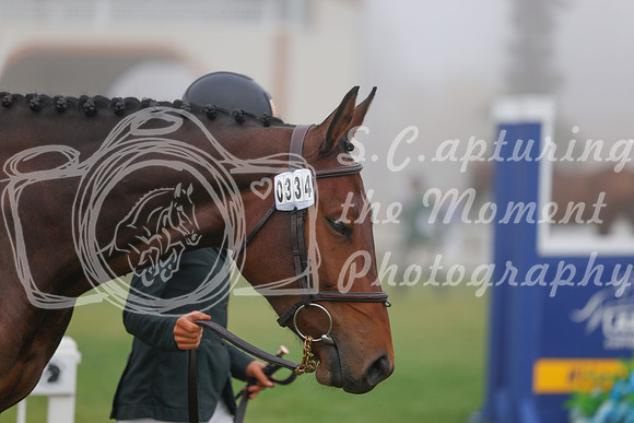 2025 - Haylee - Harvest Horse Show - Sunday, September 14th 00023
