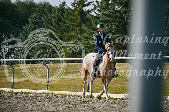 2025 - Petra - Harvest Horse Show - Sunday, September 14th 10437