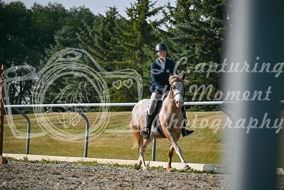 2025 - Petra - Harvest Horse Show - Sunday, September 14th 10436
