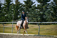 2025 - Petra - Harvest Horse Show - Sunday, September 14th 10438