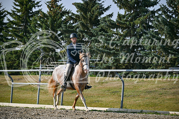 2025 - Petra - Harvest Horse Show - Sunday, September 14th 10438